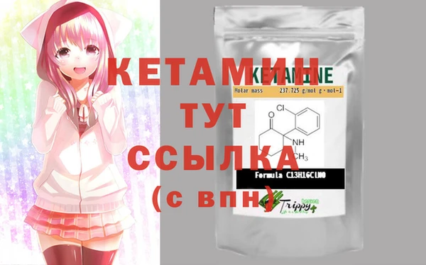 шишки Абаза