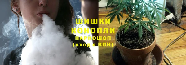 шишки Абаза