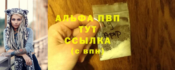 шишки Абаза