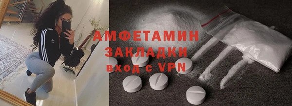 шишки Абаза