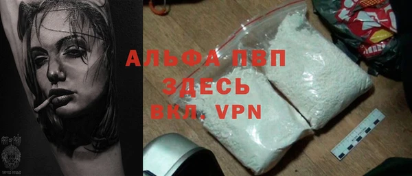 шишки Абаза