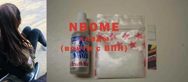 шишки Абаза