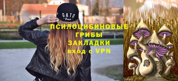соль ск Абдулино