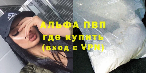 шишки Абаза