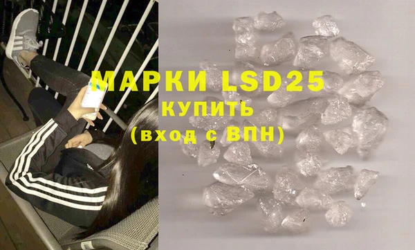 шишки Абаза