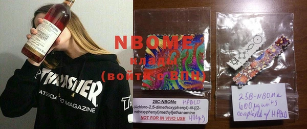 шишки Абаза