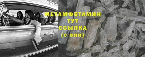 шишки Абаза